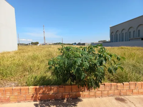 Terreno em São Manuel