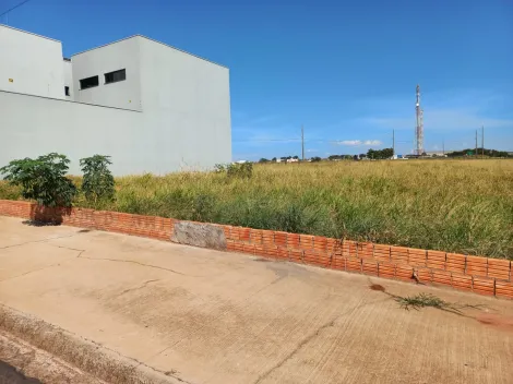 Terreno em São Manuel