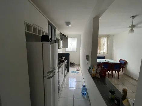Alugar Apartamento / Cobertura em Bauru. apenas R$ 335.000,00