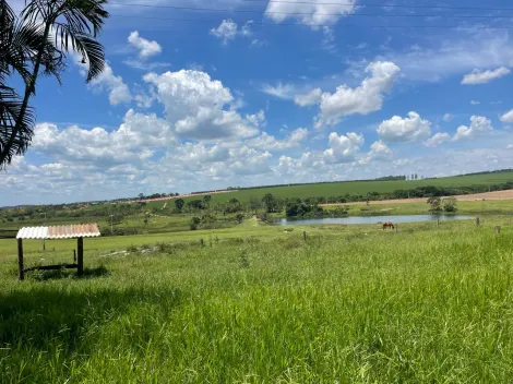 Alugar Rural / Fazenda em Borebi. apenas R$ 112.500.000,00