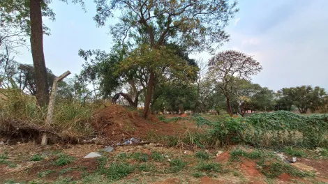 Área Comercial no Jardim Jussara em Bauru SP